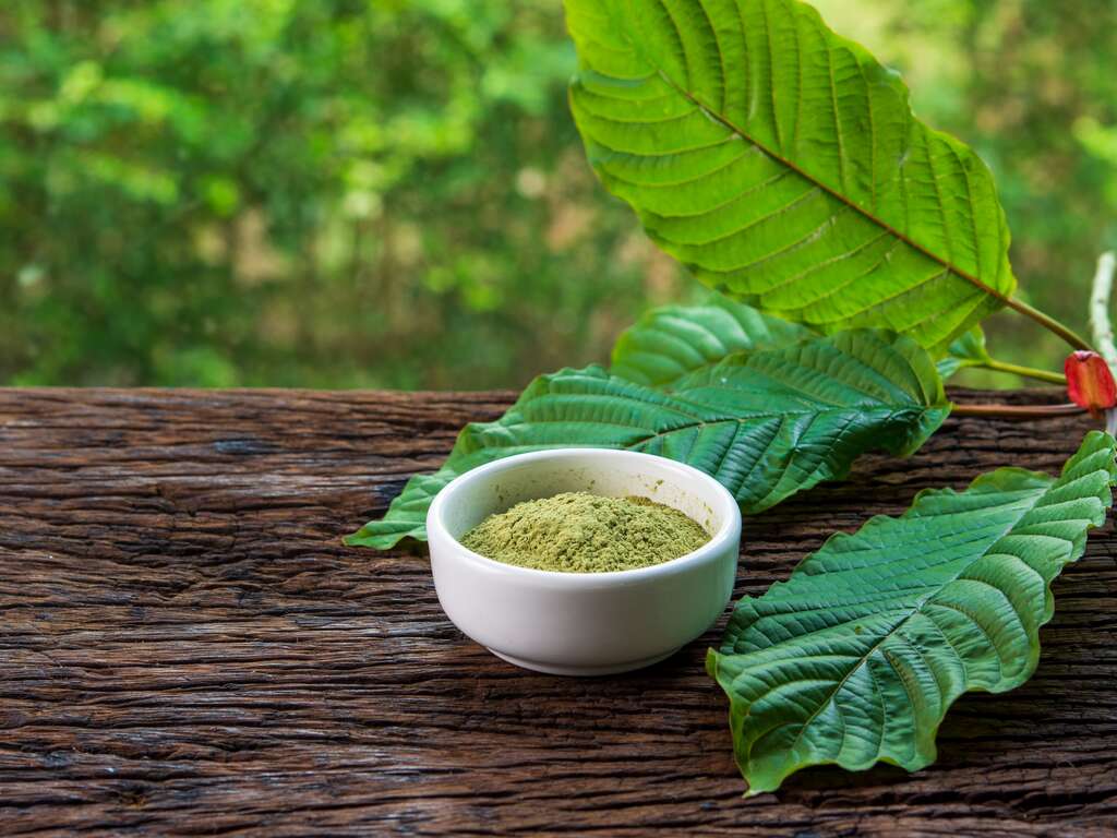 Kratom and Liver Health